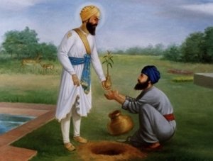 guru harrai plants 300.jpg