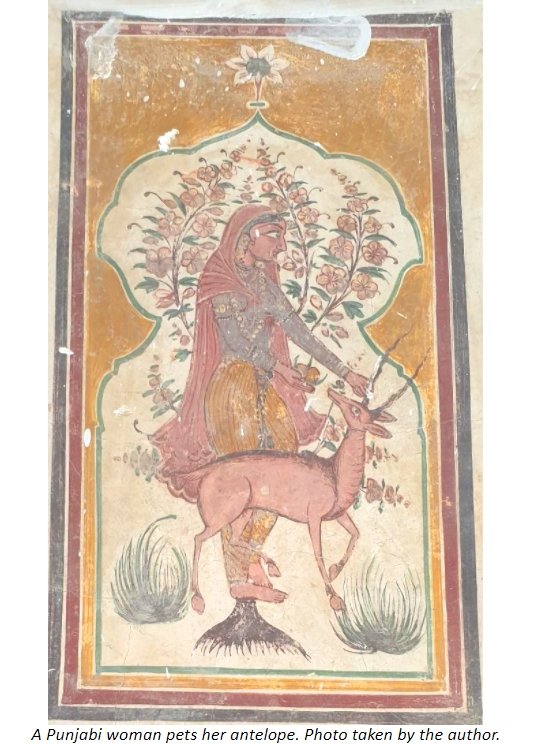 fresco punjabi lady antelope.jpg