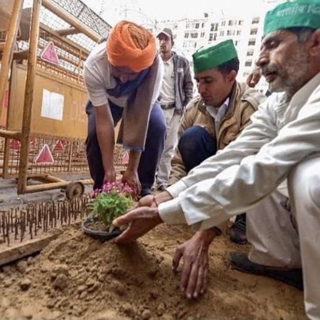 tikri-border-planting-on-soikes.jpg