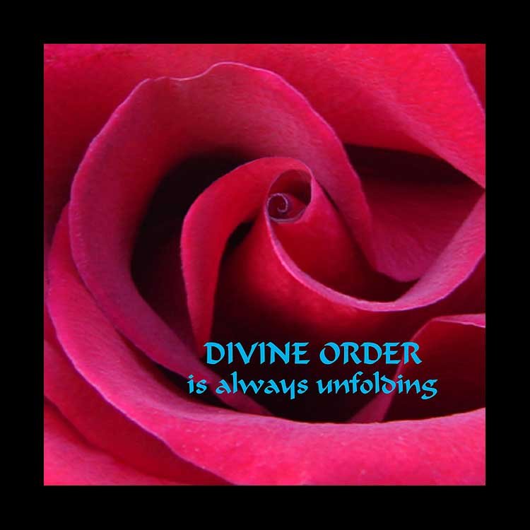 DivineOrder (51K)