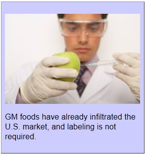 GMFoods (18K)