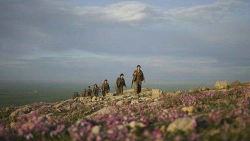 Brazil Sikh flower field.jpg