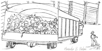 Corpses Piled Up in Trucks Out of Darbar Sahib_June 1984_Harinder S. Padam.png