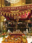 Satleenk's picture