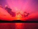 nimmiahuja's picture